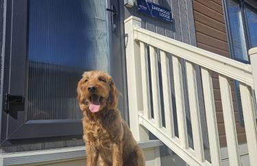 JJs Lodge Ebor - Foto 5