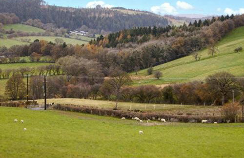 Tyn Y Celyn Canol - Foto 17