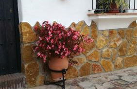 Las 4 Lunas - Foto 7