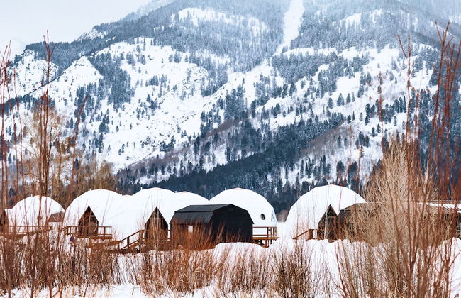 Tammah Jackson Hole - Foto 38