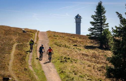 Villa Number 8 - Photo 23