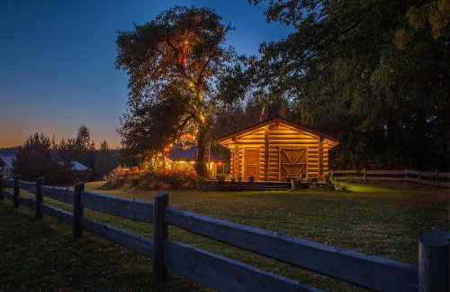 Saunowisko w Krągu - domy Niebieski i Żółty - Foto 3