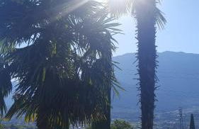 Villa Raifer - Foto 29