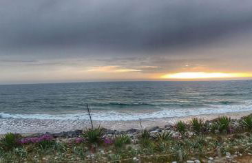 Moradia Pinheiro Manso - Foto 34