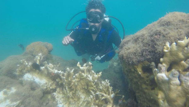 Explorando los fondos marinos de la isla de Caitá