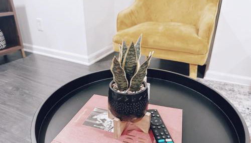 North Capitol Charm - Foto 4