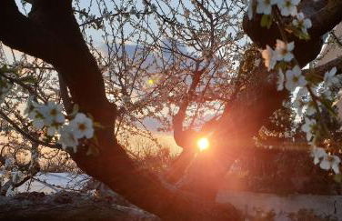 Agriturismo Mare e Monti - Foto 26