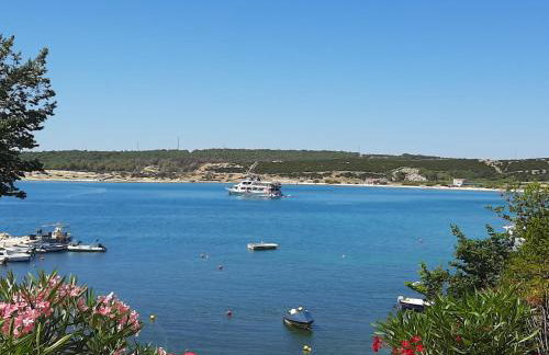 Apartments Nikola Caska - Photo 1