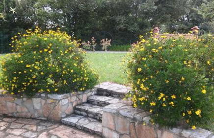 Casa Candelas - Foto 28