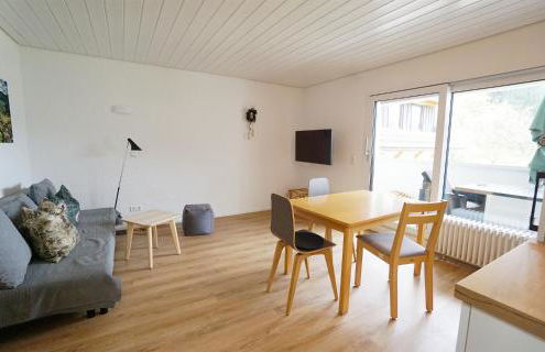 Höllkopf - Stubenhof, Black Forest - Foto 4