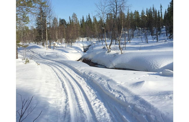 Sallanhelmi a2 - Foto 26