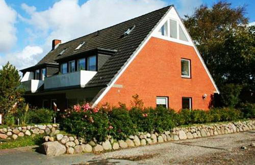 Haus-Seemoewe - Photo 18