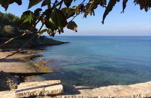 Guest House - La Sirena Salentina - Foto 1