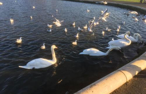 Paisley Central Apartment #2 - Foto 22