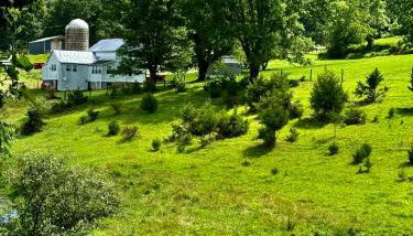 Winding Creek Cabin - Photo 5