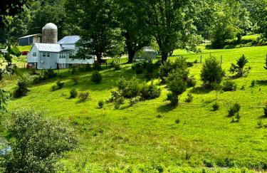 Winding Creek Cabin - Photo 5