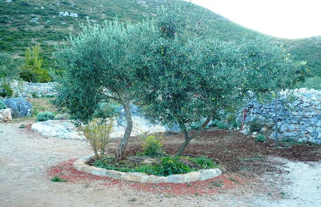 Lavender Cottage - Foto 14