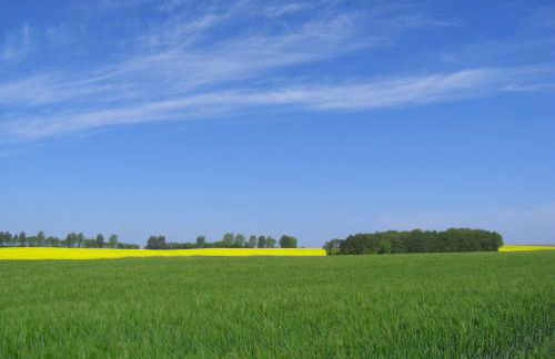 Landhaus Questin - Photo 16