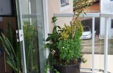 Apartamento dois quartos campeche - Foto 2