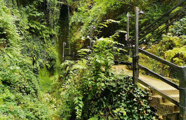 Fernhurst Holiday apartments - Foto 43