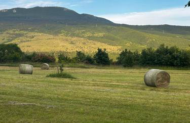 Villa Boljuncica - Foto 13