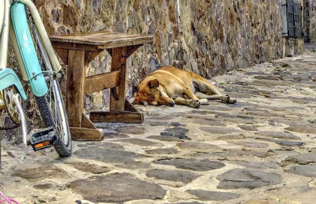 Villa de Leyva Bike Tour - Foto 1