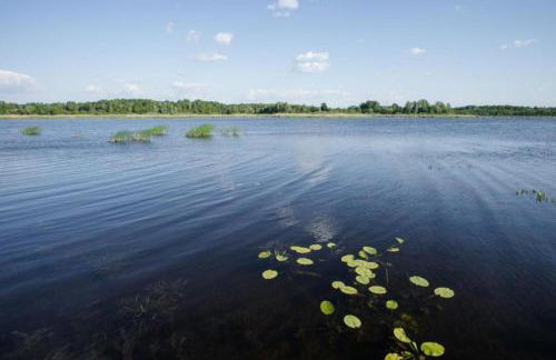 Agroturystyka Golubie - Foto 34