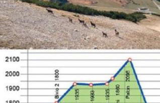 ILIA House - Foto 34