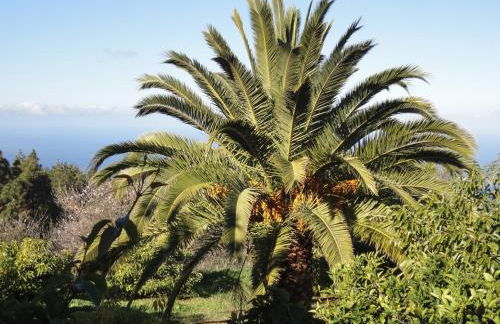 Casas Erel - Foto 19