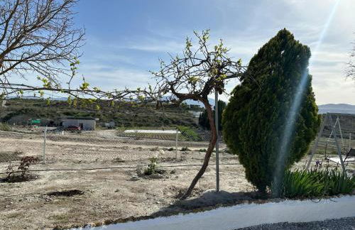 Alojamientos CUEVAS TIANA - Photo 17