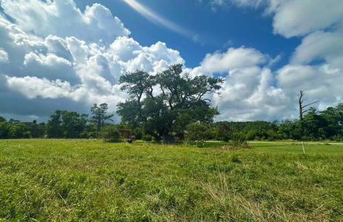 Tranquil Modern Farm Cabin - Foto 39