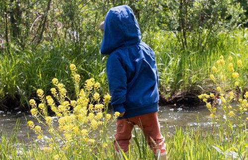 Sarnówka KDN - Foto 8