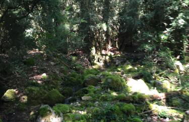 La Fusteria del Casat - Foto 78