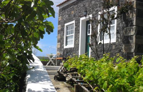 Adega Ilhéu - Photo 23