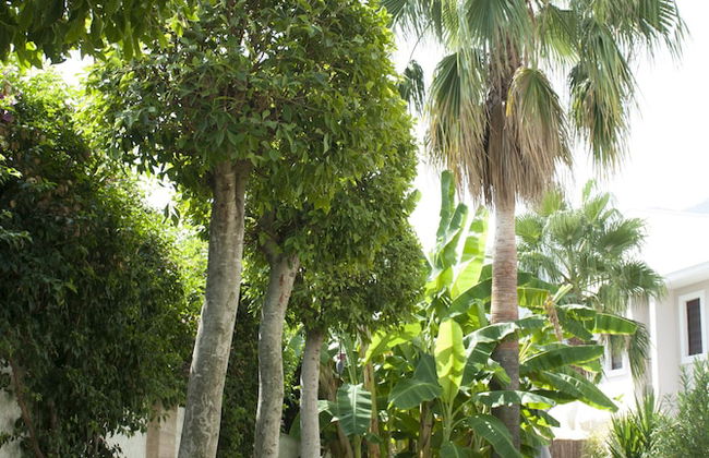 Bamont Villas - Foto 51