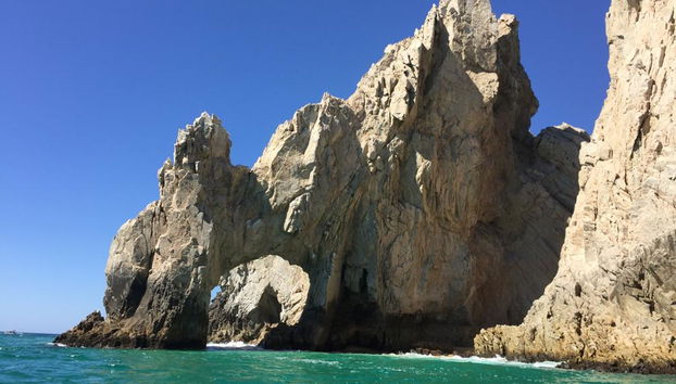 Avvistamento Balene a Los Cabos – Tour in Barca - Foto 5