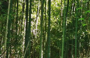 O Refúgio - Foto 66