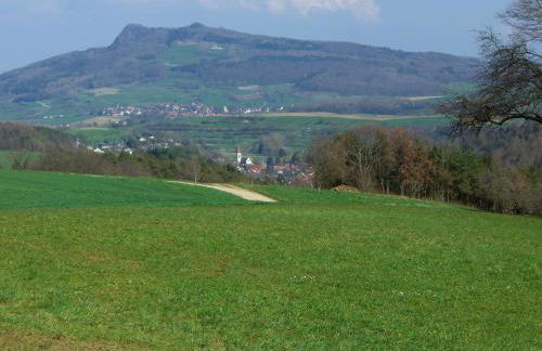 Hegauliebe - Foto 15