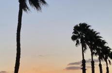 Apartamento Oasis Palmeras 4 - Foto 22