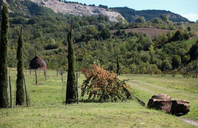 Locanda dei Cinque Cerri - Foto 32