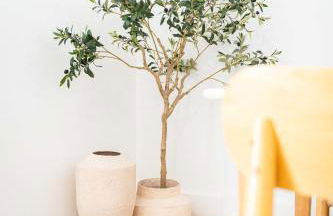 Spacieux T2 au coeur de la Camargue - 10mn Plage - Foto 5