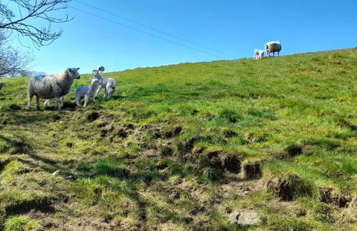 5 Bed in Leek oc-79543 - Photo 33