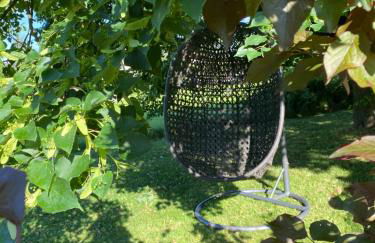 Haflingerstall - Foto 48