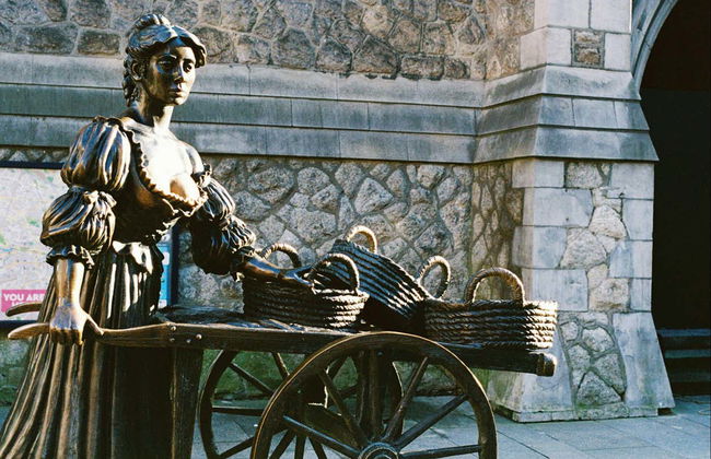 Trinity College Library, Book of Kells & Dublin Castle Tour - Photo 2