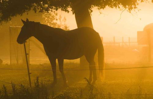 Spreebogenhof - Foto 29