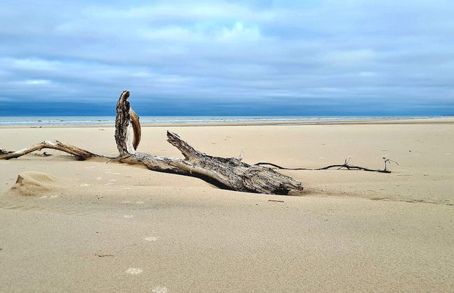 10 Person Holiday Home in Bindslev-by Traum - Foto 27