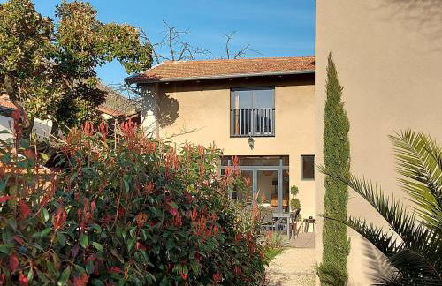 Le 1881 Ampuis - Foto 2