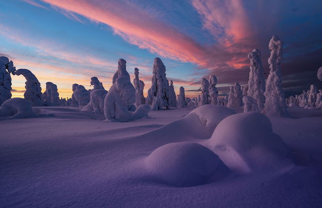 Jockfall Fishing and Activities - Foto 28