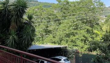 Green Heaven - Foto 2