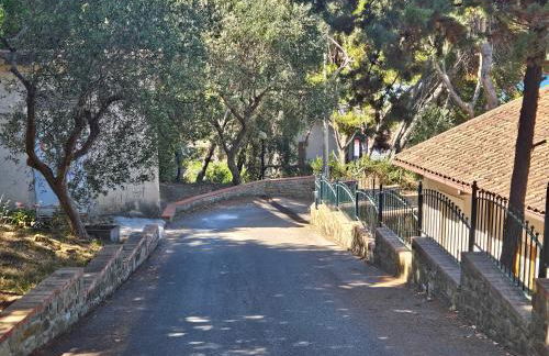 Da mia zia - Foto 22